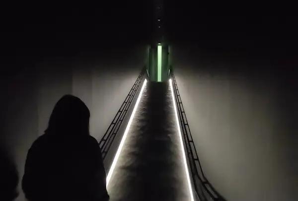 チームラボプラネッツ TOKYO (teamLab Planets TOKYO) DMMの写真・動画_image_416337