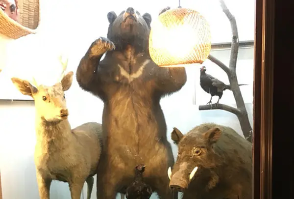 観光センター くるす うどん・丼