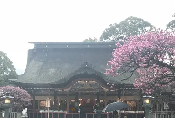 太宰府天満宮