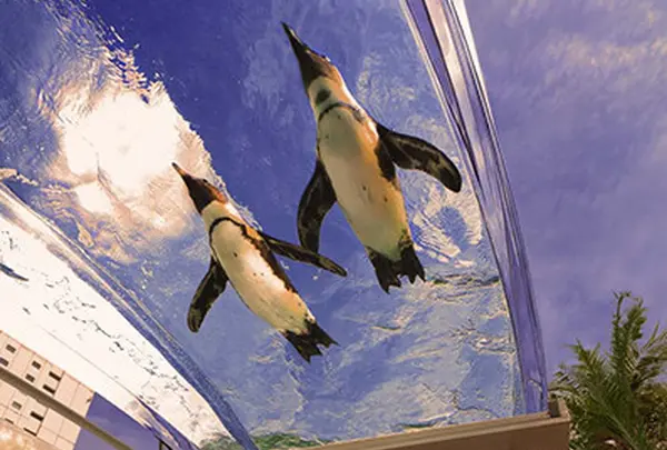 サンシャイン水族館
