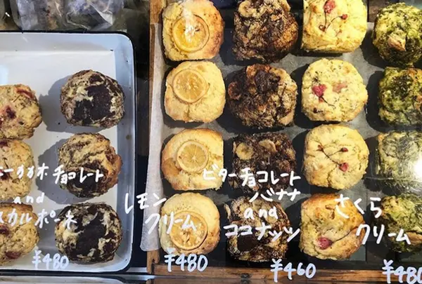 アミジョク(amijok)