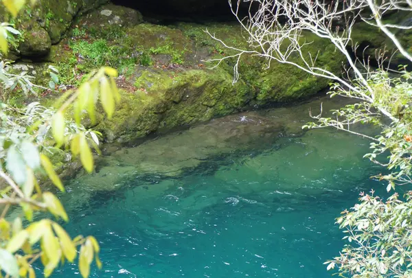 にこ淵の写真・動画_image_131026