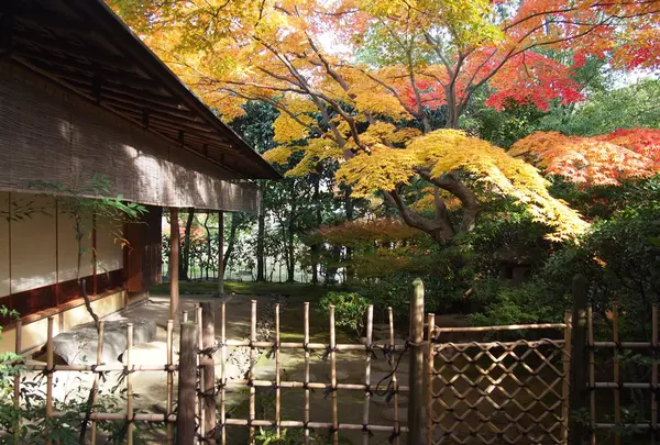紅松庵の写真・動画_image_16956