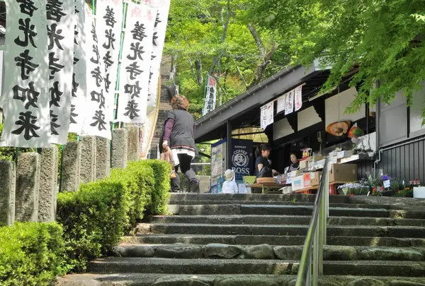新緑の季節
