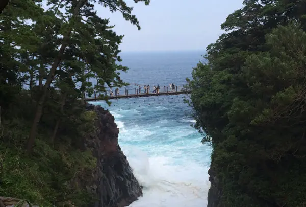 城ヶ崎海岸の写真・動画_image_42500