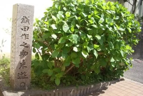 織田作之助来遊の地