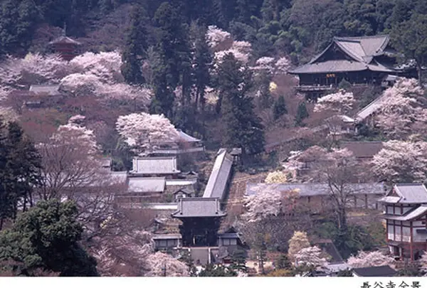 長谷寺
