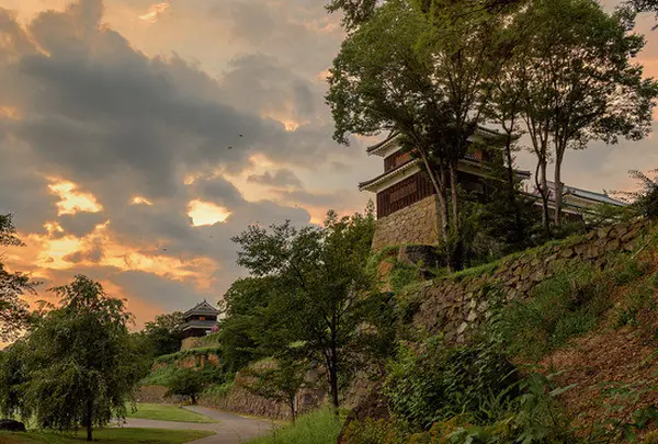 上田城跡の写真・動画_image_195743
