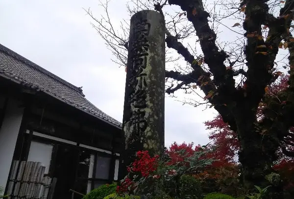 ナント！地中にあった？！