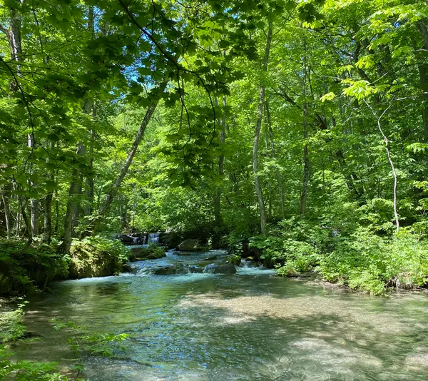 緩やかな川の流れに癒される〜