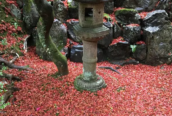 霊鑑寺