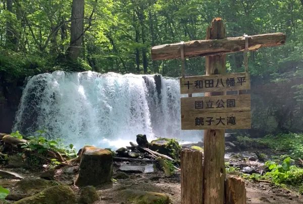 奥入瀬渓流　　の写真・動画_image_671944