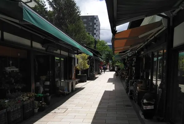 縄手通りの写真・動画_image_599303