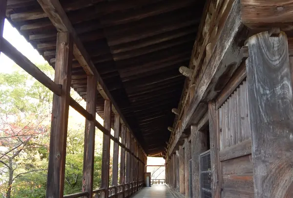 豊国神社（千畳閣）の写真・動画_image_167503