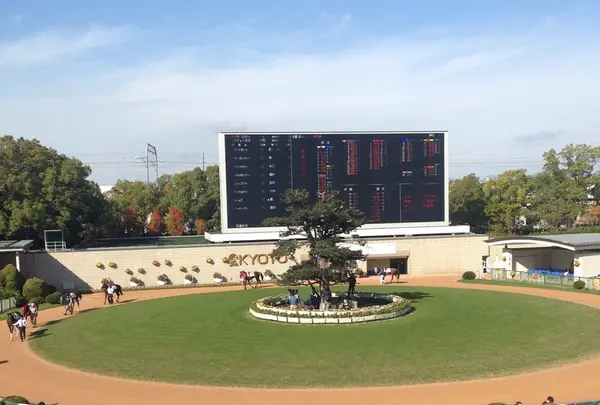 京都競馬場の写真・動画_image_19420