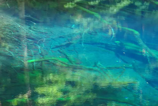 十二湖(青池)