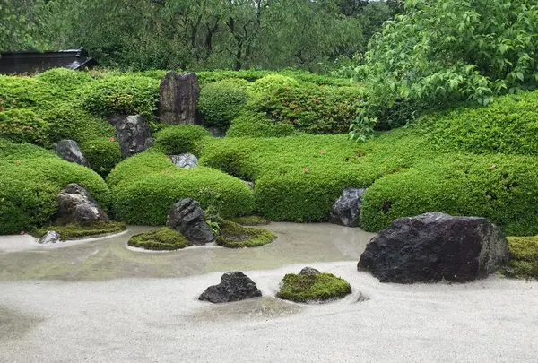 明月院（あじさい寺）の写真・動画_image_321212