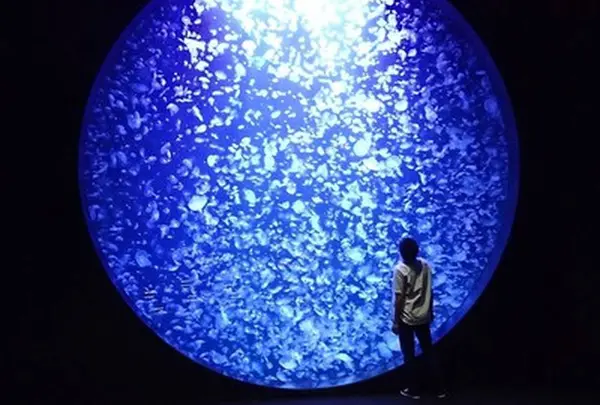 鶴岡市立加茂水族館