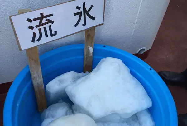 流氷が！！