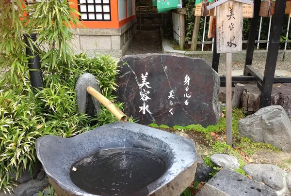 美容水