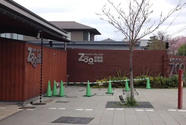 京都市動物園の写真・動画_image_133060