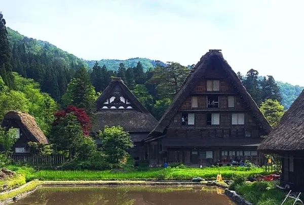 白川郷合掌造りの写真・動画_image_240190