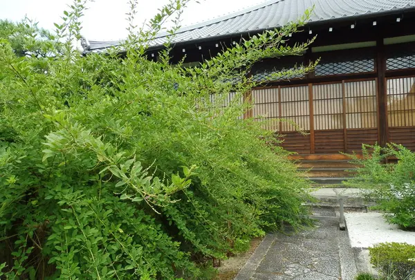 常林寺
