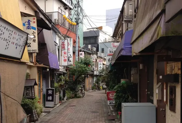 辰巳新道