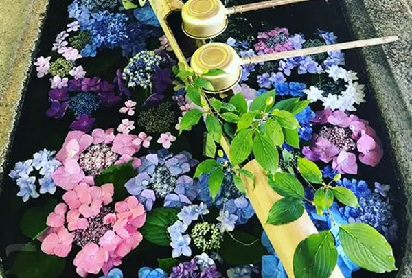 真如堂（真正極楽寺）