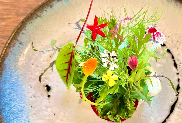 etsonaの写真・動画_image_521323