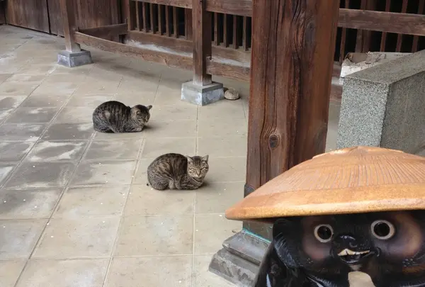 無量寺の写真・動画_image_45109