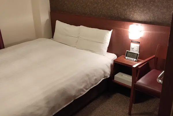 天然温泉紀州の湯ドーミーインPREMIUM和歌山の写真・動画_image_429448