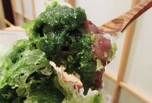 樫舎