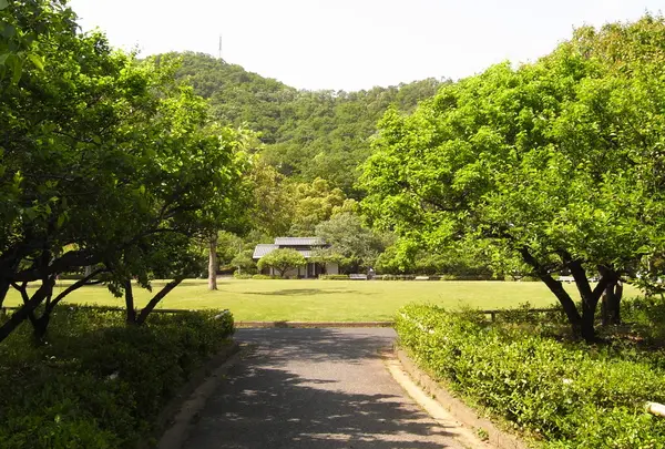 梅林公園に到着