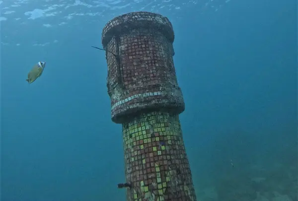 浮潛秘境の写真・動画_image_1231685