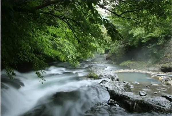 旅館藤もと