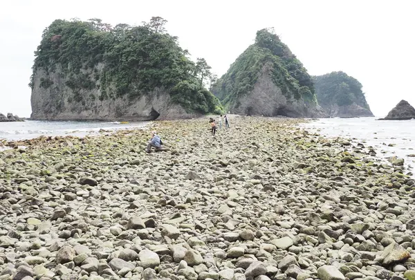 三四郎島のトンボロ