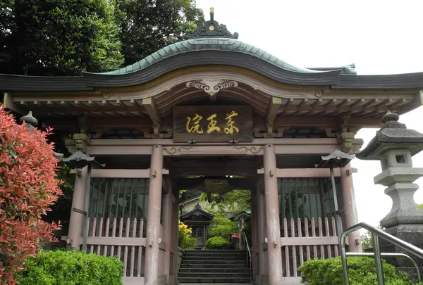 薬王院温泉寺の写真・動画_image_420109