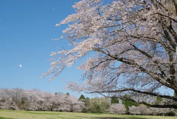 泉自然公園