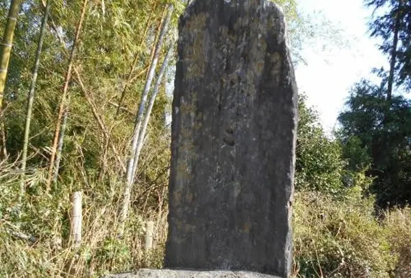 新城城 土塁跡