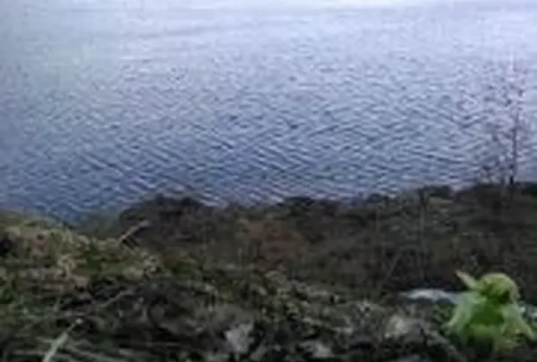 フキノトウが顔を出したばかりの湖畔