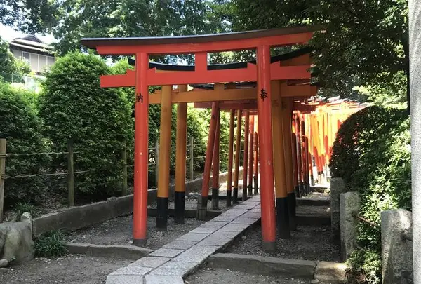 根津神社の写真・動画_image_694837