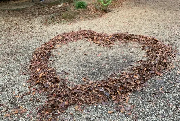 石清水八幡宮の写真・動画_image_414863