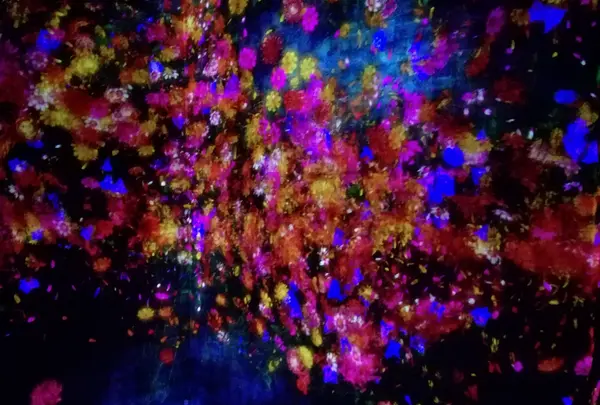 【閉業】森ビルデジタルアートミュージアム：エプソン チームラボボーダレス（MORI Building Digital Art Museum: EPSON teamLab Borderless）の写真・動画_image_416297