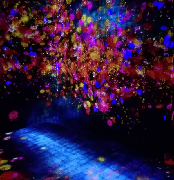 咲き乱れる花々