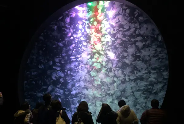 加茂水族館（バス）