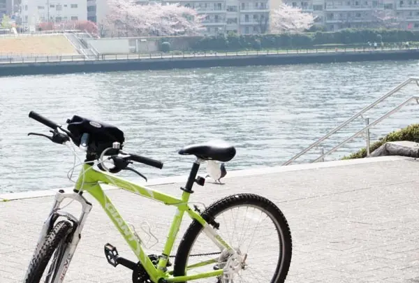 隅田川沿い　サイクリング
