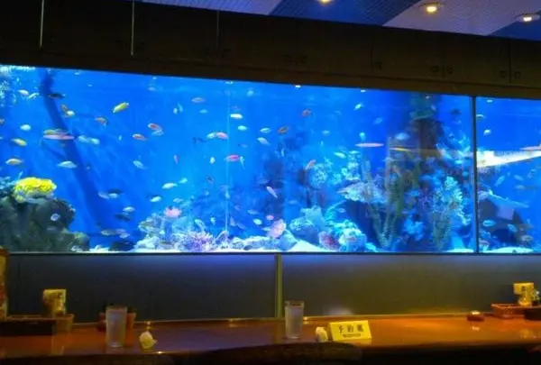 シーフードレストランメヒコ東京ベイ有明店