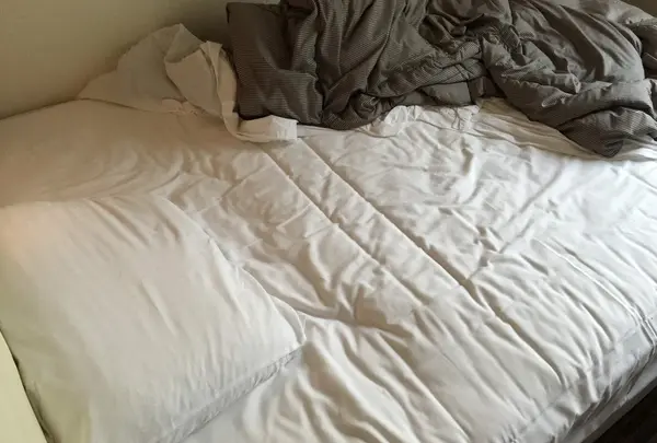 鹿児島プラザホテル天文館