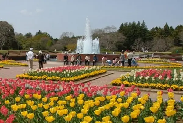 茨城県民の森